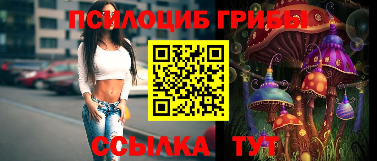 Галлюциногенные грибы Psilocybe  Вход с VPN  даркнет сайт  Карасук 