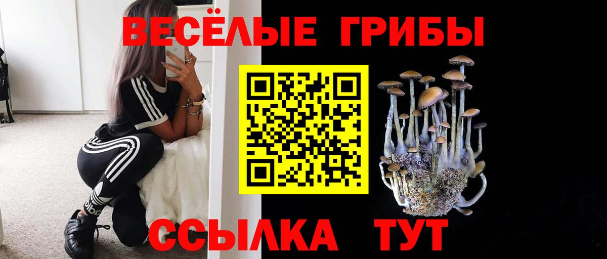 Псилоцибиновые грибы Magic Shrooms Карасук